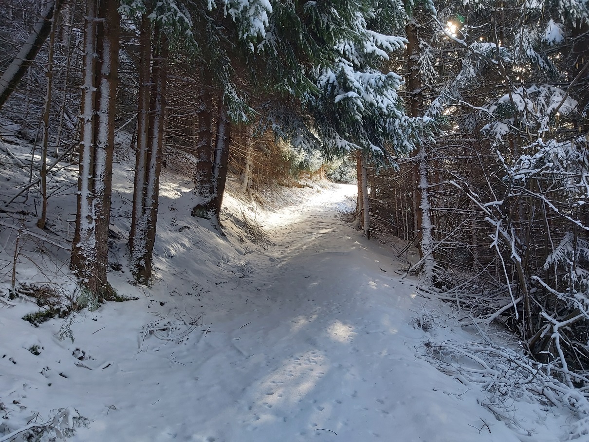 Bärenweg © 2021 by DMGG