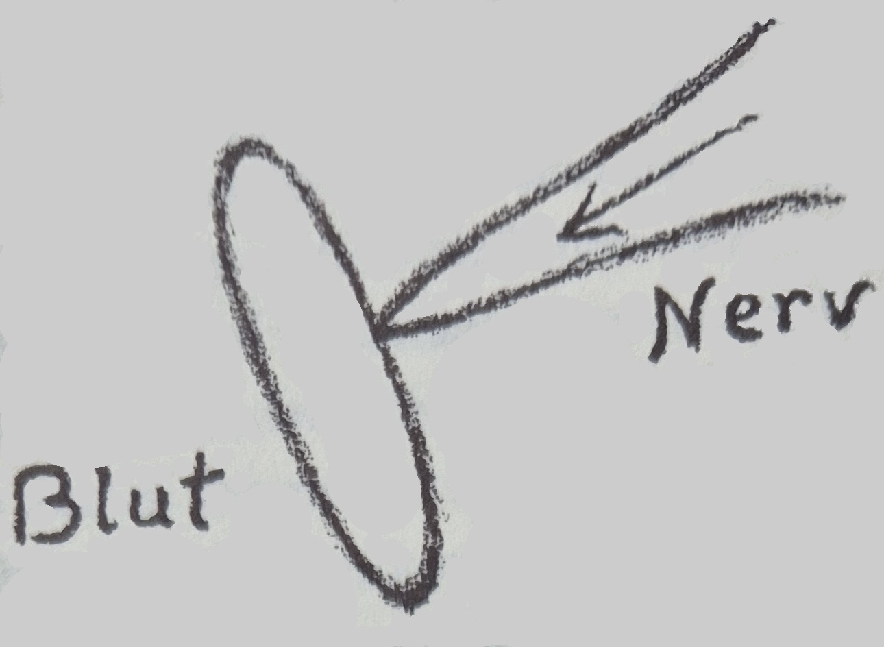 Skizze der Wandtafelzeichnung &copy; 1971 R.Steiner-Verlag