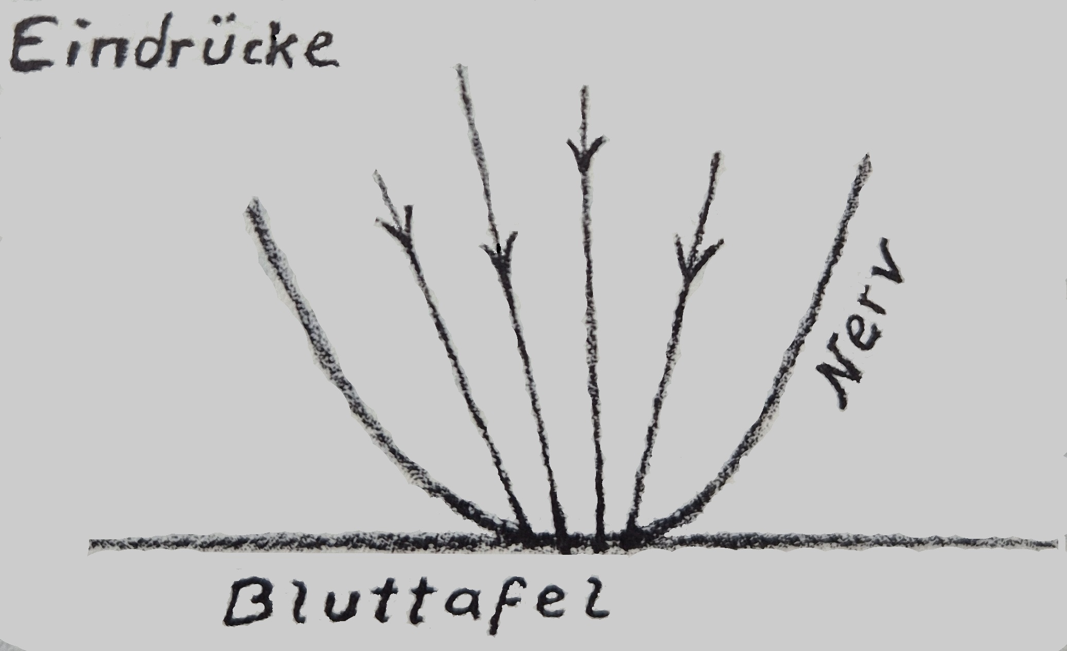 Skizze der Wandtafelzeichnung &copy; 1971 R.Steiner-Verlag