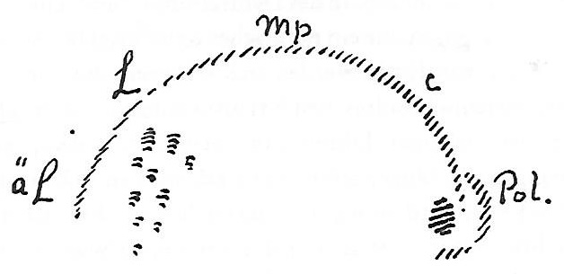 Skizze der Wandtafelzeichnung © 1977 R.Steiner-Verlag